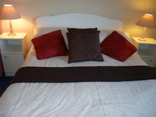 Una cama con almohadas rojas y negras. en Armcashel B&B en Castlerea