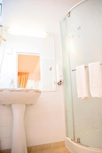 a bathroom with a sink and a shower at Hotel Roco in Izvin