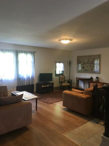 a living room with two couches and a television at Apartment Chalet Kladska in Mariánské Lázně