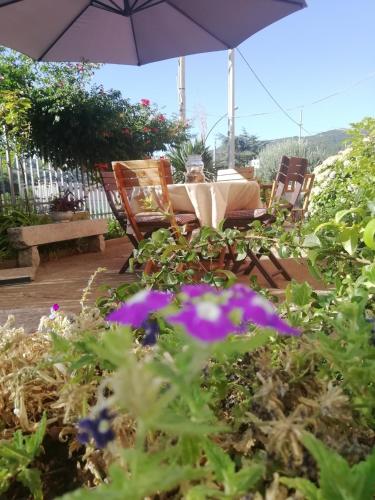 Κήπος έξω από το B&B Domus Deiana