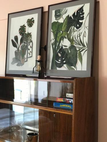 two framed pictures of plants on a shelf at Silesia Apartment Eliza in Bytom