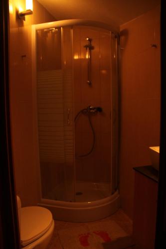 a bathroom with a shower with a toilet and a sink at Casa Do Quelho in Janeiro de Cima
