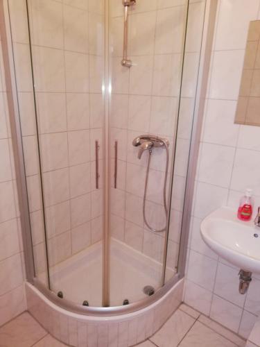 a shower with a glass door next to a sink at Pension Feldschlössl in Ingolstadt