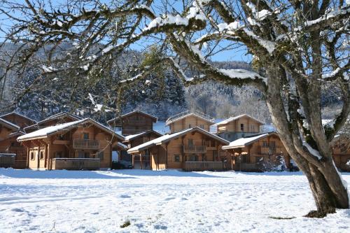 a lodge in the snow with a tree at Résidence Néméa Les Chalets du Bois de Champelle in Morillon