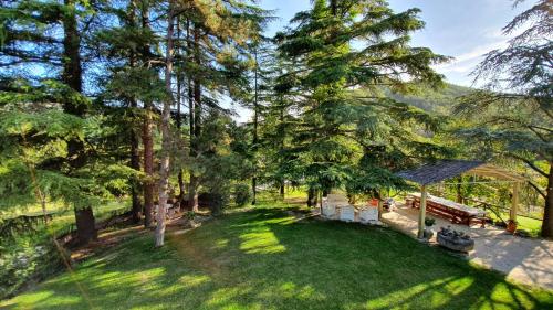 una vista aérea de un parque con una mesa de picnic y árboles en Affittacamere Villa Molinello, en Dovadola