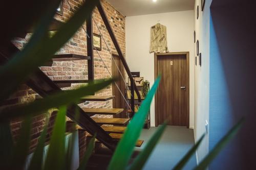 a stairway with a wooden door and a green plant at TimHouse in Timişoara