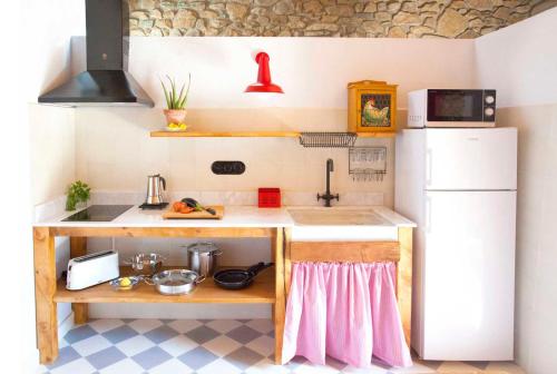 una piccola cucina con lavandino e frigorifero di El Mas de Sant Vicenç - apartamentos rurales ad Arsèguel