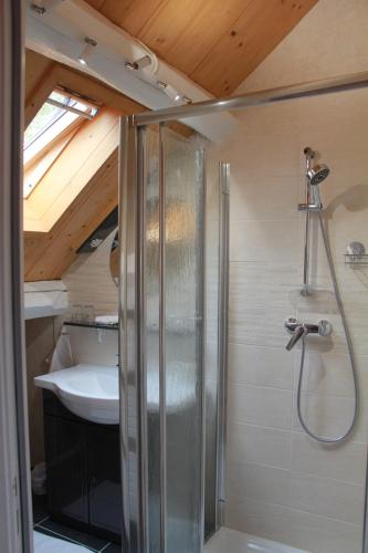 La salle de bains est pourvue d'une douche et d'un lavabo. dans l'établissement Manoir le Bout du Pont, à Huisseau-sur-Cosson