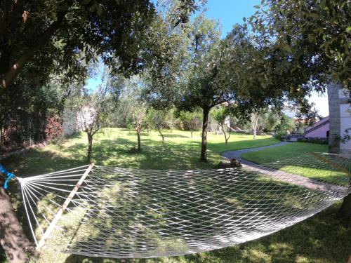 a hammock hanging from a tree in a yard at Casa vacanze "Gli Ulivi" Apt 1 in Matzaccara