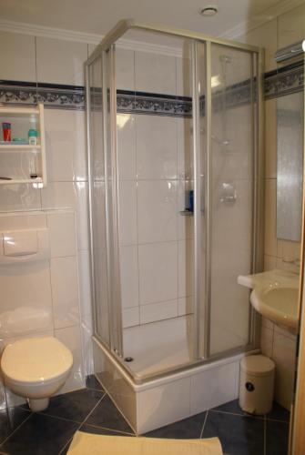a bathroom with a shower and a toilet and a sink at Hotel Garni Erler in Mayrhofen