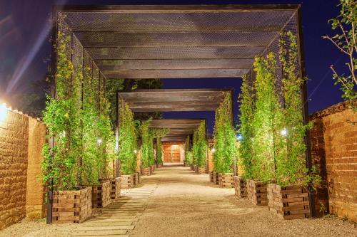 an alleyway with a row of plants in wooden boxes at Uvence Arte + Hotel in San Cristóbal de Las Casas