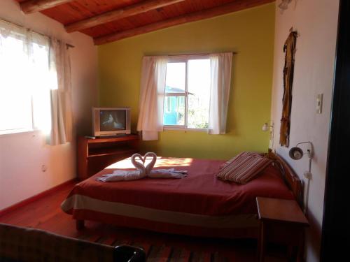 1 dormitorio con 1 cama, TV y ventanas en Bungalows Jovi en Colón