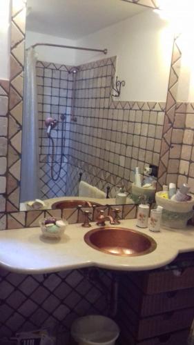 eine Badezimmertheke mit einem Waschbecken und einer Dusche in der Unterkunft MARA E MONTI in Tossicia