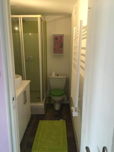 La salle de bains est pourvue de toilettes, d'un lavabo et d'une douche. dans l'établissement Le Petit Nid Cosy, à Esnandes
