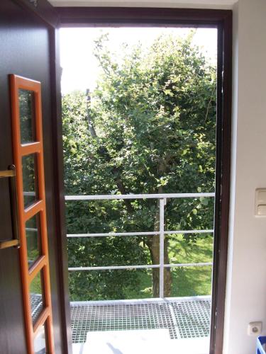 an open door with a view of a tree at Eifel Lodge in Butgenbach