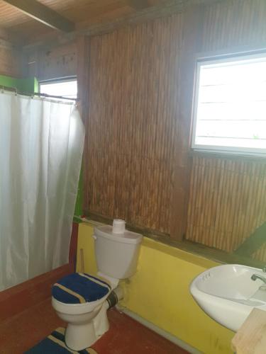 a bathroom with a toilet and a sink at Ti Kwen Glo Cho in Roseau