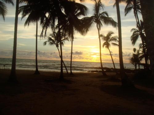 a group of palm trees on the beach at sunset at Casa Blanka 2010 - Eco Surf Guest House in Itacaré