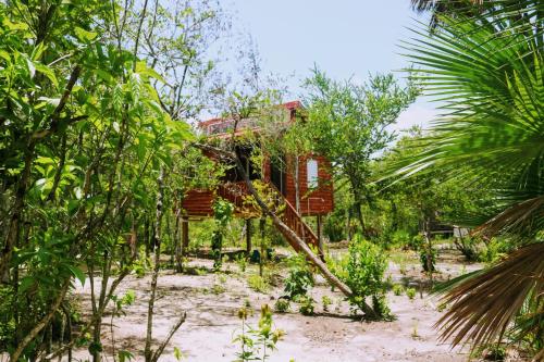 Vaikų žaidimų erdvė apgyvendinimo įstaigoje Palmento Grove Garifuna Eco-Cultural & Healing Institute