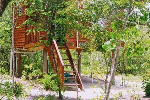 Palmento Grove Garifuna Eco-Cultural & Healing Instituteにある庭