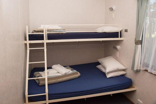 a room with two bunk beds and a ladder at Kalganyi Holiday Park in Mount Gambier