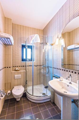 a bathroom with a shower and a toilet and a sink at Vila Leonida - RESORT LEONIDA in Buşteni