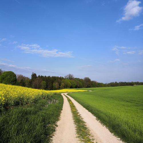 a dirt road in the middle of a field at Ferienhaus am Bach mit großem Garten in Deuerling