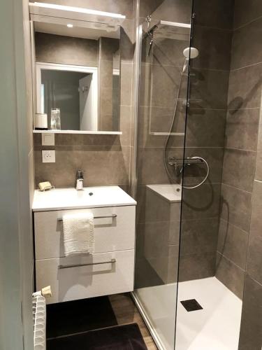 La salle de bains est pourvue d'une douche, d'un lavabo et d'une douche en verre. dans l'établissement LE NID DE LA PIRAZ - Parking, Balcon & Netflix !, à Annecy