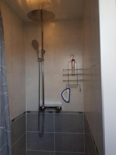 a bathroom with a shower with a shower head at Le Nid Douillet in Auxerre