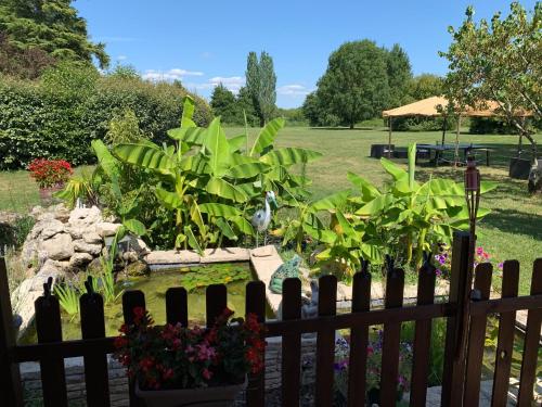 a wooden fence with plants in a garden at Les Rives du Plantié in Le Temple-sur-Lot