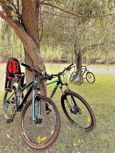 a bike is parked next to a tree at Ami Residence in Druskininkai