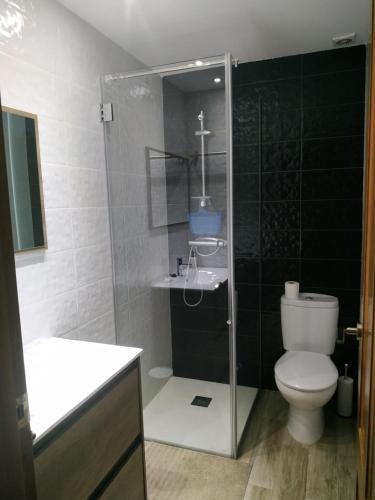 Un baño con inodoro y ducha de cristal. en La Teodora, en Aldeadávila de la Ribera