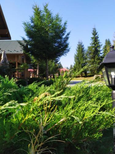 Κήπος έξω από το Hotel Khatky Ruslany