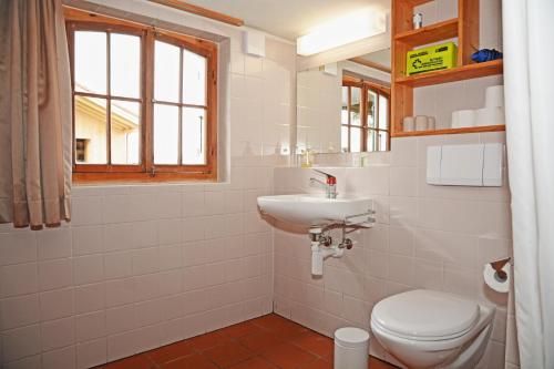 Vonios kambarys apgyvendinimo įstaigoje Traditionelles Chalet Schärmtanne