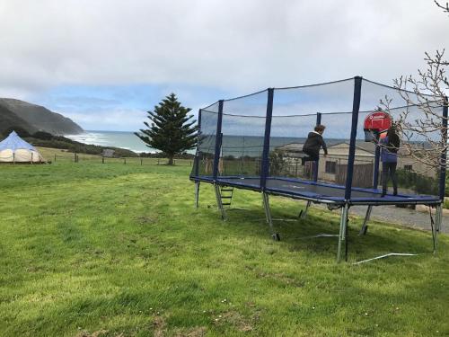 two people standing in a cage in a field at Seacroft Estate in Apollo Bay