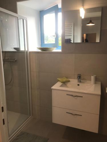 une salle de bain avec un lavabo et une douche dans l'établissement Gîte du rocher, au Puy-en-Velay