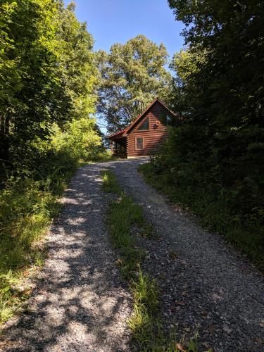 a gravel road leading to a cabin in the woods at Smokies Overlook Lodge in Waynesville