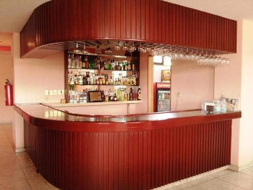 Loungen eller baren på Hotel Siesta del Sur