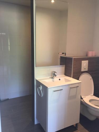 a bathroom with a sink and a toilet at La maison de Louna in Saint-Parres-lès-Vaudes