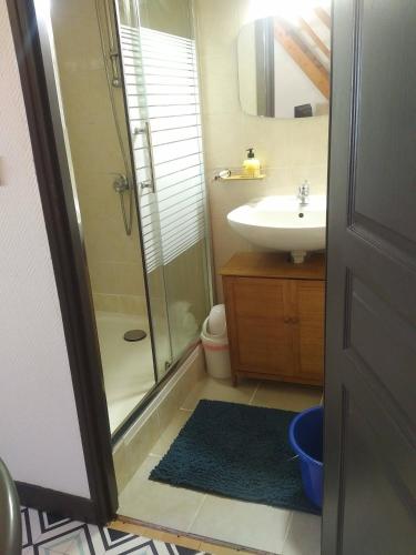 une salle de bain avec douche et lavabo dans l'établissement appartement au coeur de Chatelaillon-plage, à Châtelaillon-Plage