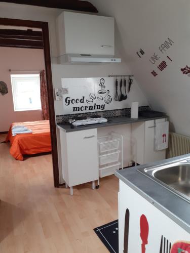 una cocina con fregadero y una cama en una habitación en Studio, en Pontacq