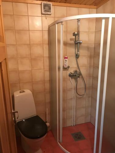 een badkamer met een douche en een toilet bij Külalismaja Malaika in Põlva
