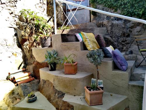 a set of stairs with pillows and potted plants at Villa Regio Garden in Vila do Conde