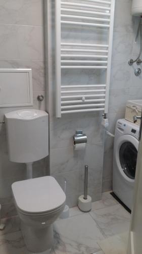 a bathroom with a toilet and a washing machine at Apartment Marina in Vinkovci