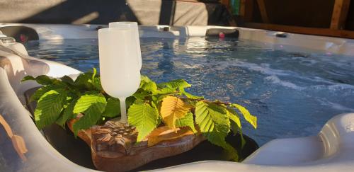 un bain à remous avec une plante qui en sort dans l'établissement Chalet La Grange à Germaine - Propriétés Mont Amour, à Avoriaz