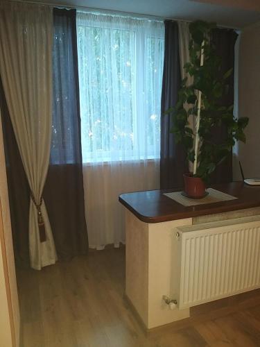 a room with a potted plant and a window at Апартаменты in Izmail