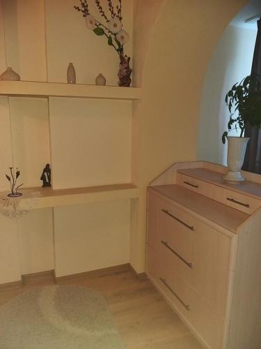 una habitación con un tocador y un estante con una planta en Апартаменты, en Izmaíl