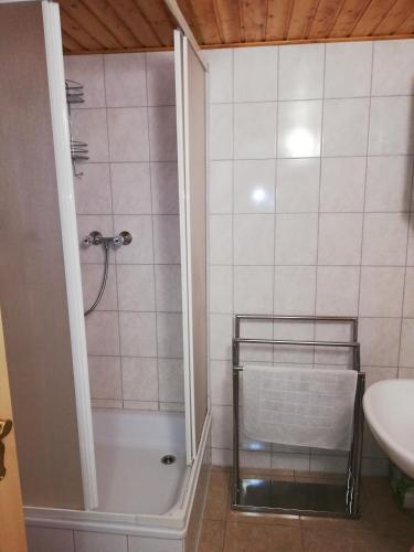 a bathroom with a shower and a sink at Haus Königstein FeWo Bielablick in Königstein an der Elbe