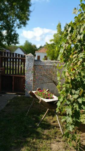 a gardenificialificialificialificialificialificialificialificialificialificialificialificialstration at Derű Vendégház és Lovasudvar in Fenyőfő