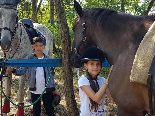 a young girl and boy standing next to a horse at Derű Vendégház és Lovasudvar in Fenyőfő