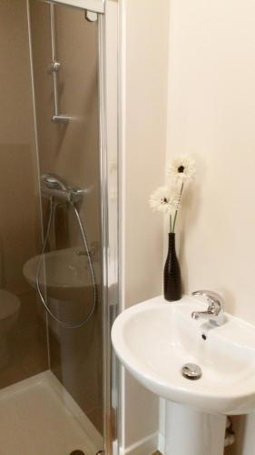 a bathroom with a sink and a glass shower at Haddington George House in Edinburgh